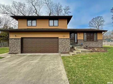 11017 N Buckskin Ct, Peoria, IL 61615