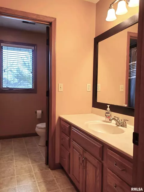 39 Emerald Ct, Morton, IL 61550 photo 29