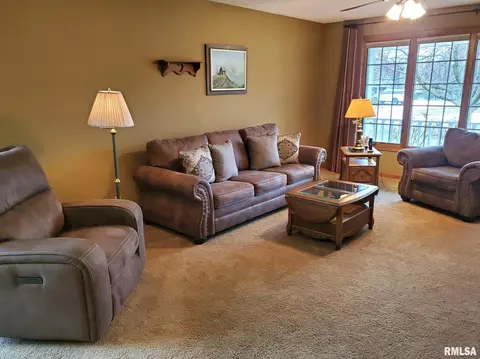 39 Emerald Ct, Morton, IL 61550 photo 6