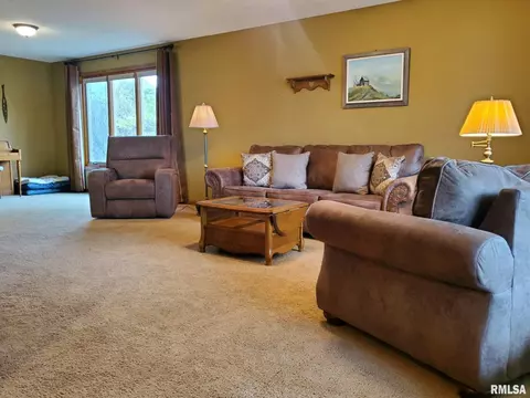 39 Emerald Ct, Morton, IL 61550 photo 8