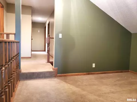 39 Emerald Ct, Morton, IL 61550 photo 39