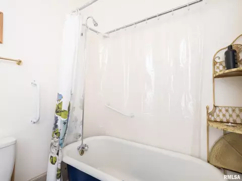 Bath - 110 N Olson St, Bishop Hill, IL 61419 photo 10 of 12