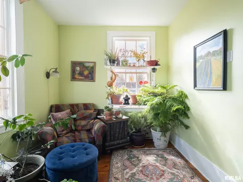 Living - 110 N Olson St, Bishop Hill, IL 61419 photo 6 of 6