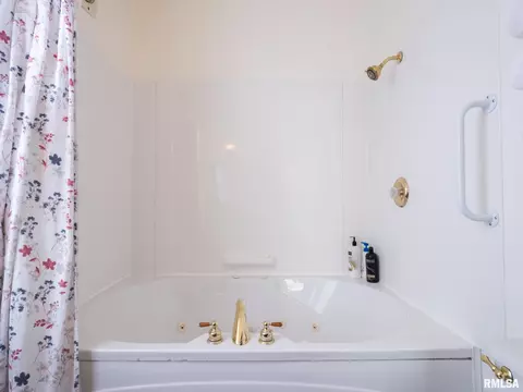 Bath - 110 N Olson St, Bishop Hill, IL 61419 photo 7 of 12