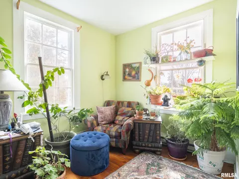Other - 110 N Olson St, Bishop Hill, IL 61419 photo 6 of 15