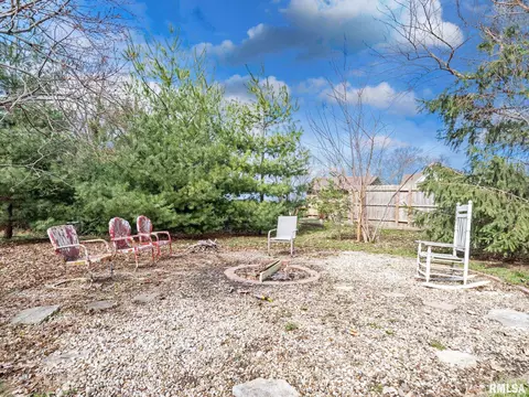 Exterior - 110 N Olson St, Bishop Hill, IL 61419 photo 7 of 17