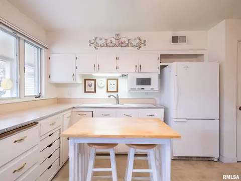 307 N Kickapoo Ter, Peoria, IL 61604 photo 33