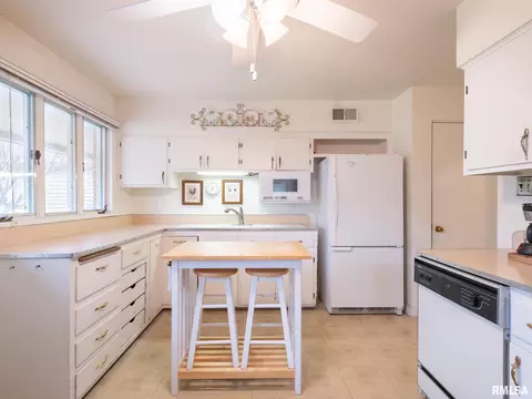307 N Kickapoo Ter, Peoria, IL 61604 photo 29