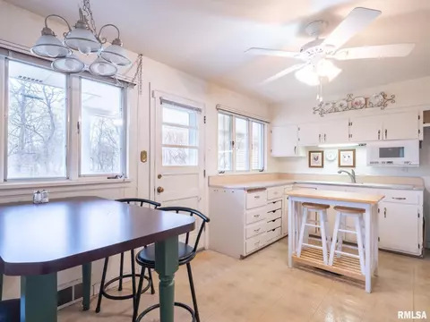 307 N Kickapoo Ter, Peoria, IL 61604 photo 28