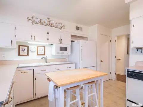 307 N Kickapoo Ter, Peoria, IL 61604 photo 34