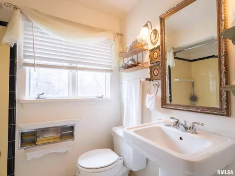 307 N Kickapoo Ter, Peoria, IL 61604 photo 53