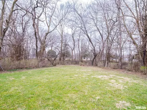 307 N Kickapoo Ter, Peoria, IL 61604 photo 4