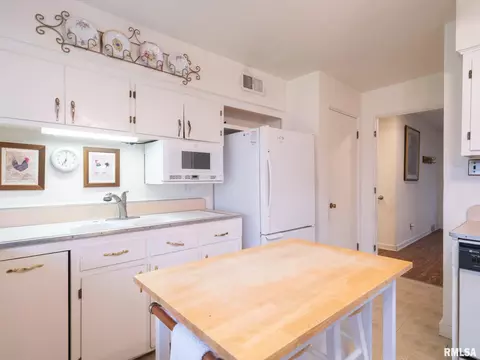 307 N Kickapoo Ter, Peoria, IL 61604 photo 38