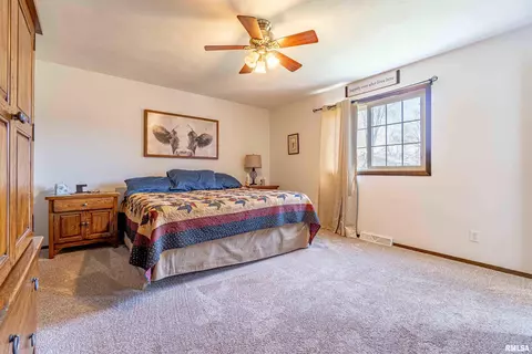 207 Conrad St, Henry, IL 61537 photo 11