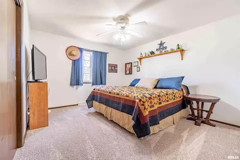 207 Conrad St, Henry, IL 61537 photo 15