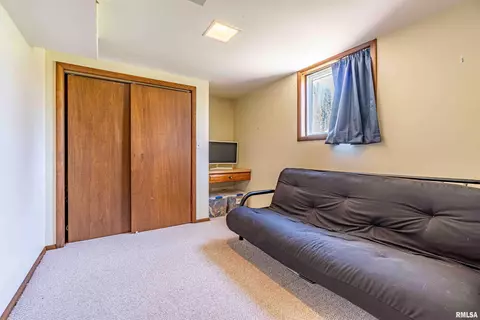 207 Conrad St, Henry, IL 61537 photo 23