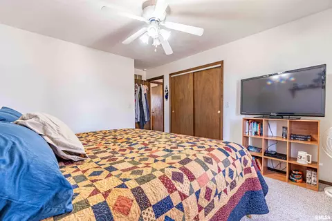 207 Conrad St, Henry, IL 61537 photo 16