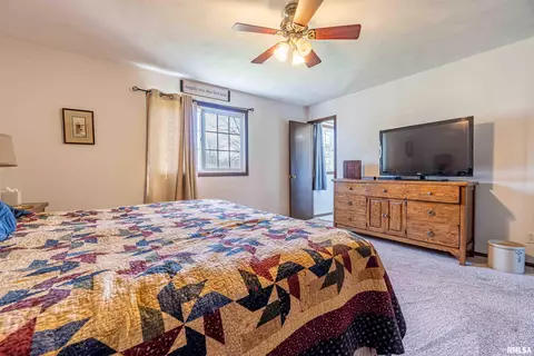 207 Conrad St, Henry, IL 61537 photo 13