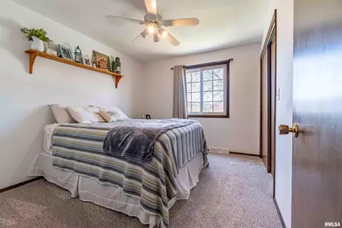 207 Conrad St, Henry, IL 61537 photo 18