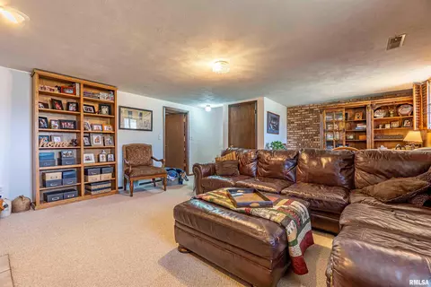 207 Conrad St, Henry, IL 61537 photo 21