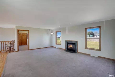 301 W Larson Ave, Cherry, IL 61317 photo 16