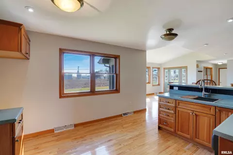 301 W Larson Ave, Cherry, IL 61317 photo 12