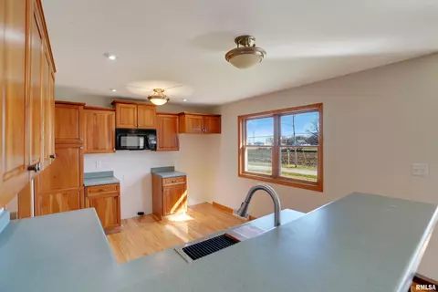 301 W Larson Ave, Cherry, IL 61317 photo 14