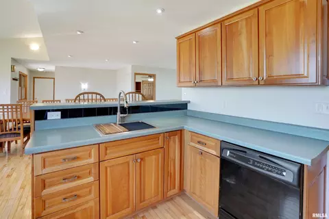 301 W Larson Ave, Cherry, IL 61317 photo 11