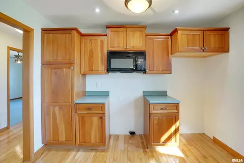 301 W Larson Ave, Cherry, IL 61317 photo 13