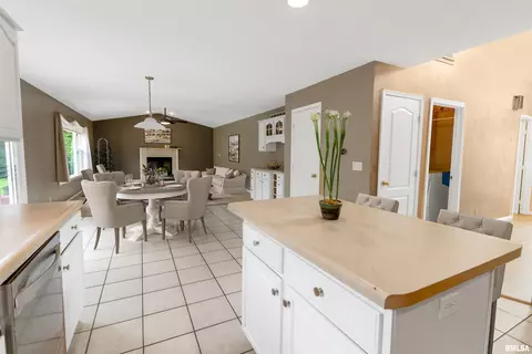 2111 W Murphy Dr, Dunlap, IL 61525 photo 9