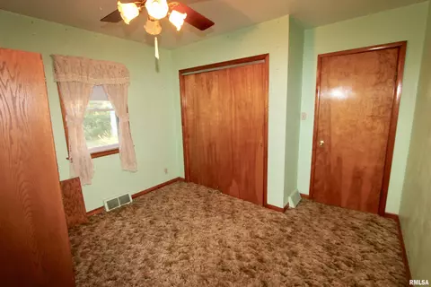 1613 Kickapoo St, Peoria, IL 61604 photo 35