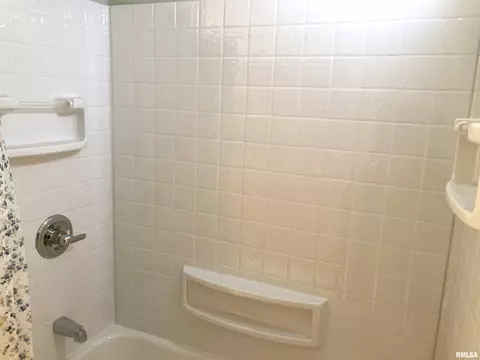 753 S 3rd Ave, Canton, IL 61520 photo 24
