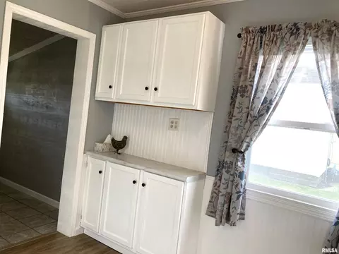753 S 3rd Ave, Canton, IL 61520 photo 19
