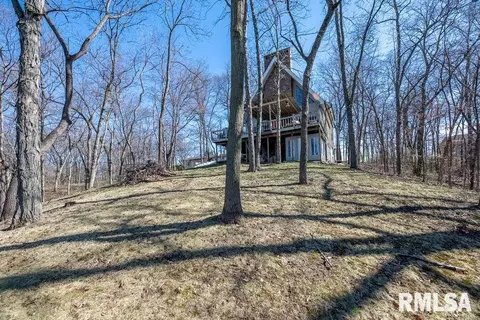 7055 Siesta Dr, Delavan, IL 61734 photo 39