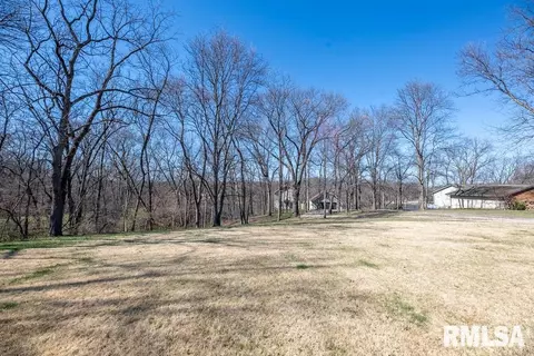 7055 Siesta Dr, Delavan, IL 61734 photo 52