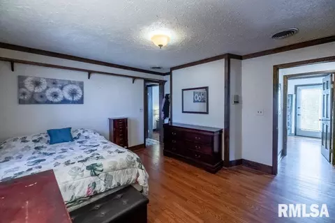 7055 Siesta Dr, Delavan, IL 61734 photo 25