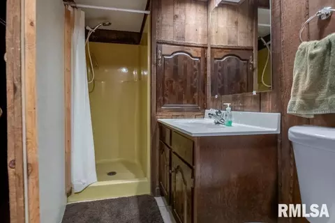 7055 Siesta Dr, Delavan, IL 61734 photo 33