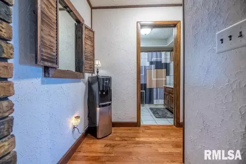7055 Siesta Dr, Delavan, IL 61734 photo 9