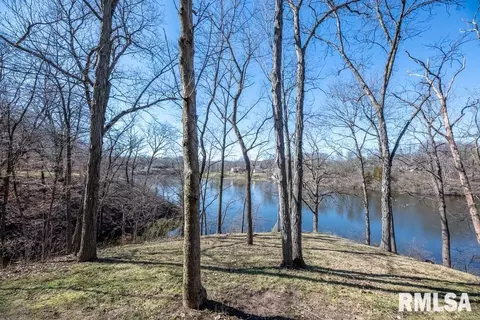 7055 Siesta Dr, Delavan, IL 61734 photo 41