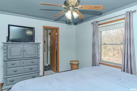 3 Fox Point Ct, Pekin, IL 61554 photo 29
