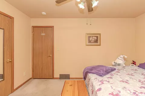 3 Fox Point Ct, Pekin, IL 61554 photo 23