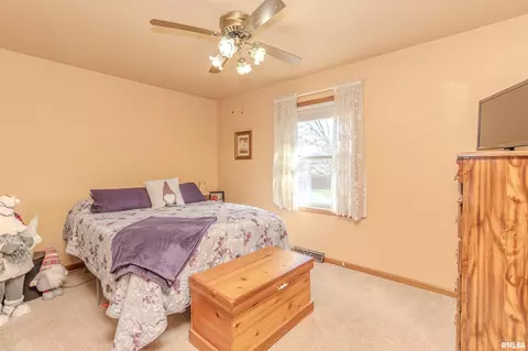 3 Fox Point Ct, Pekin, IL 61554 photo 22