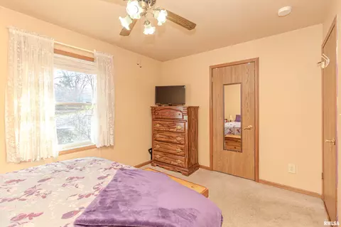 3 Fox Point Ct, Pekin, IL 61554 photo 25
