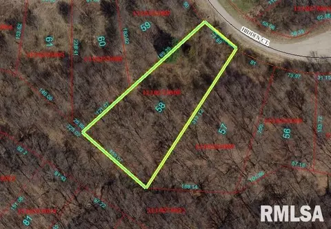 58 Hidden Ct, Dahinda, IL 61428