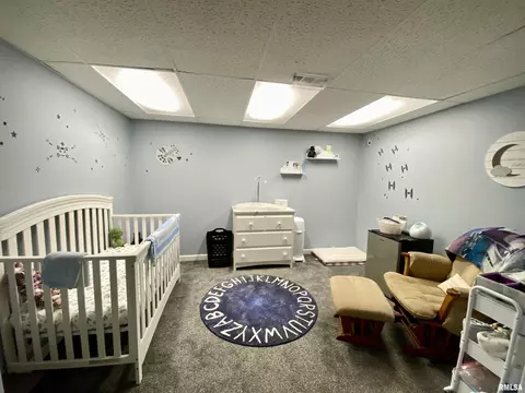 9350 W Lake Camelot Dr, Mapleton, IL 61547 photo 26