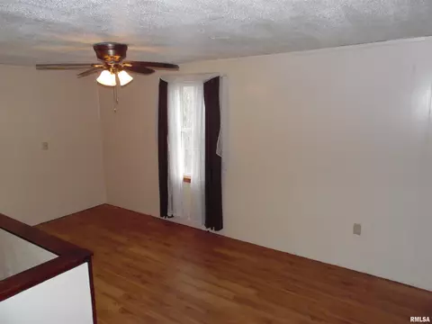 10108 S Maple St, Mapleton, IL 61547 photo 34