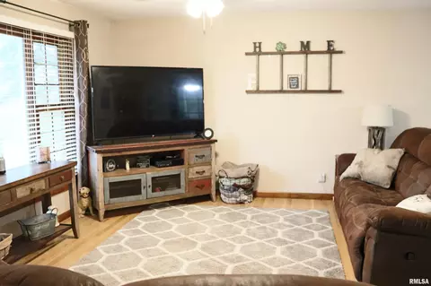 Living - 9319 W Carleon Ct, Mapleton, IL 61547 photo 3 of 7