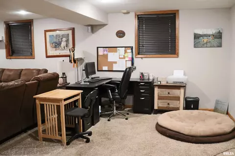 Other - 9319 W Carleon Ct, Mapleton, IL 61547 photo 3 of 7