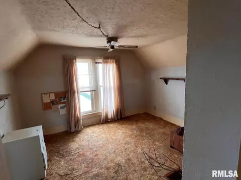 Other - 270 E Birch St, Canton, IL 61520 photo 4 of 19