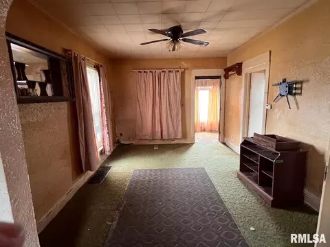 Other - 270 E Birch St, Canton, IL 61520 photo 1 of 19